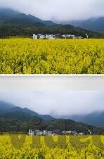 麻豆啊传媒app下载-麻豆啊传媒APP——视界新体验，开启艺术与创意的无限可能