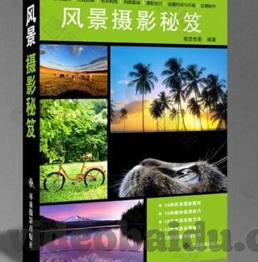 日韩精品一区二区-探索日韩影视文化的独特魅力，一区二区的艺术视角
